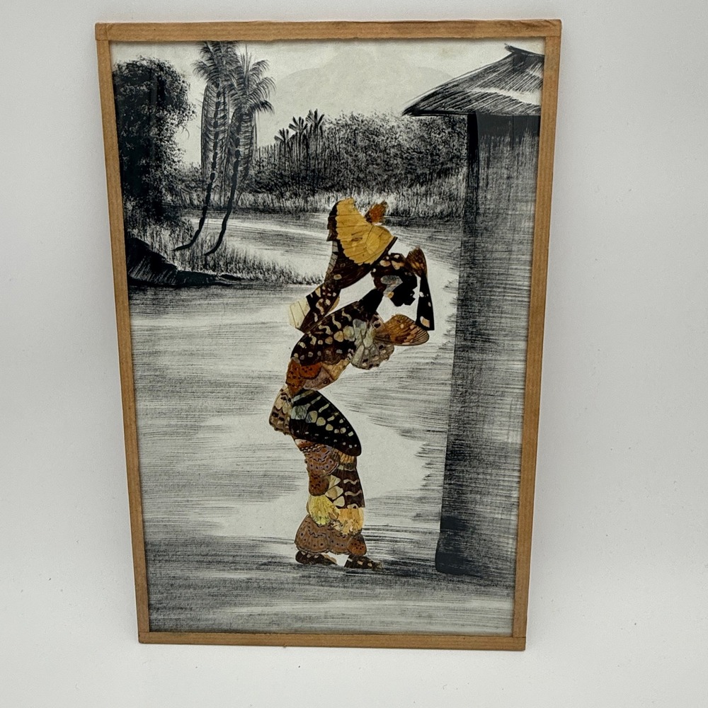 Vintage Real Butterfly Wing Art African Woman Landscape Mixed Media Framed 12x8